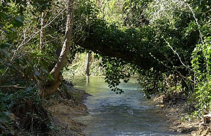 L'humide vallon de Saint-Pons