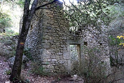 Jean de Marre II mill