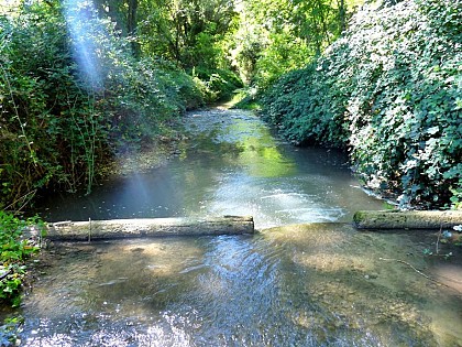 Let's give life back to the Colostre!