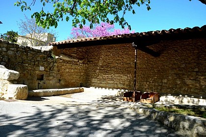 The fountain