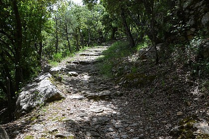 The way to the paradise of Donkeys