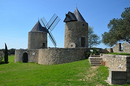 The Windmills