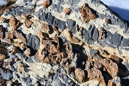 Conglomerate