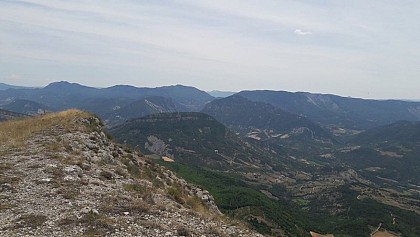 Falaises à la biodiversité multiple