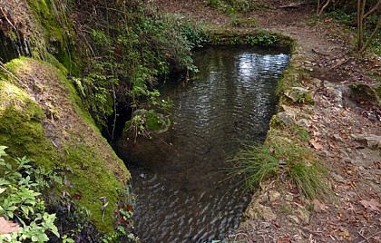 La source des Orris