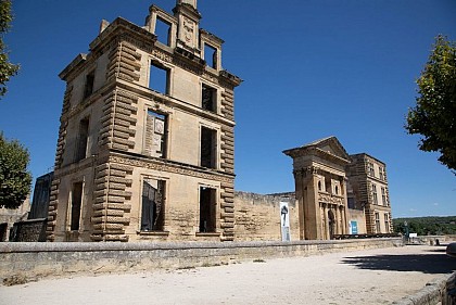The castle of the Tour-d'Aigues
