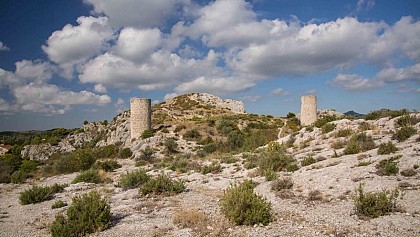 The Castillon Towers