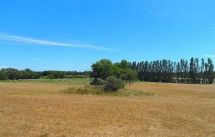 The pastoralism remains