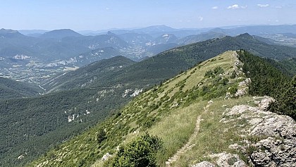 Des prairies à sauvegarder