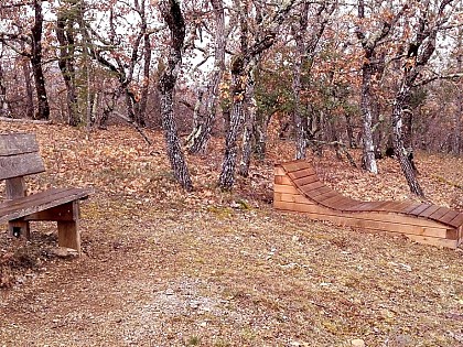 L'ONF et la forêt domaniale