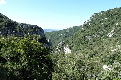 Petit Luberon, haut lieu de biodiversité