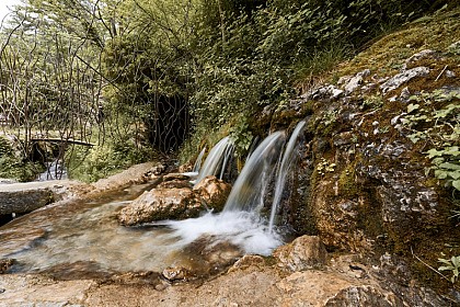 La source du Groseau