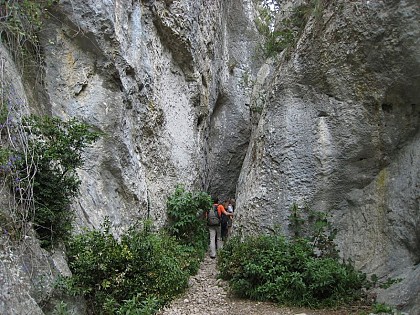 Gorges of Regalon