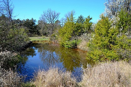 Emergency WaterEmergency water