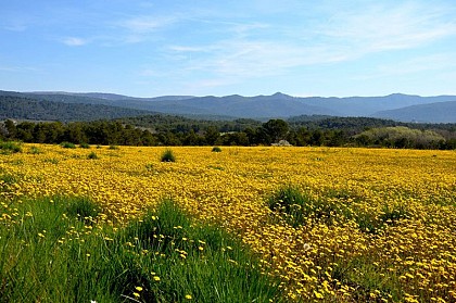View of the hills of Aups