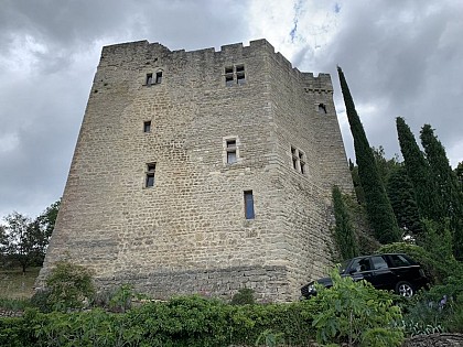Les châteaux de Mollans