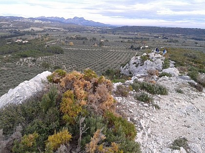 At the top of the ridges