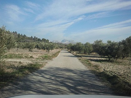 View of the peaks of the Opies