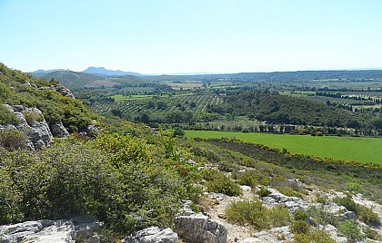 The view of the Crau