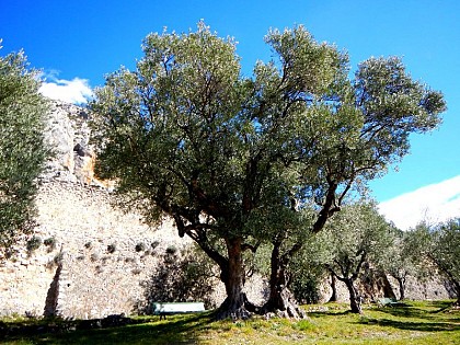 «Mets de l’huile !»
