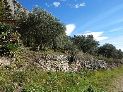 Les bancau de Moustiers