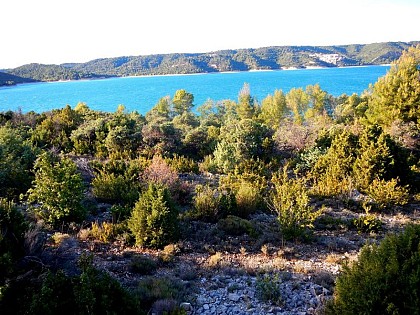 Conservé par le conservatoire