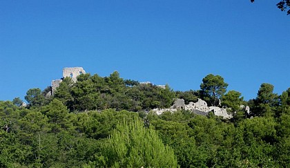 Le castrum du Vieux Nans