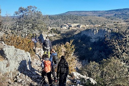 A canyon in its wooded setting