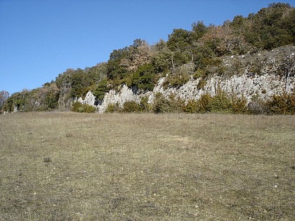 A beautifully polished slickenside