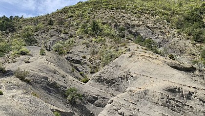 La terre noire des Baronnies