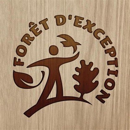 Forêt d'exception®