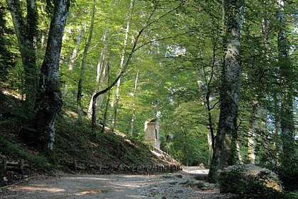 Chemin des Roys