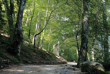 Le chemin des Roys