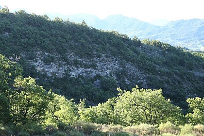 The Chaland limestone strata