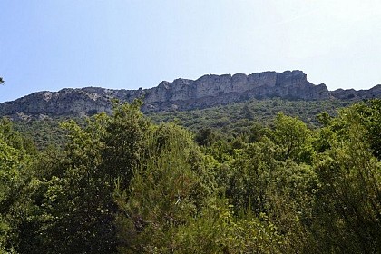 Le Mont Aurélien