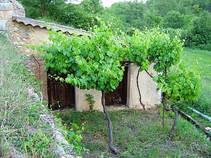 Le cabanon du chemin de Saint-Blaise