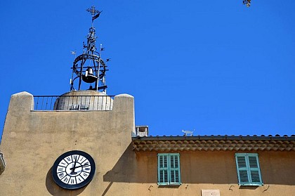 The Campanile and Alessandra’s cat