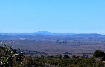View of Sainte-Victoire