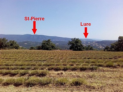 Saint-Pierre qui es tu ?