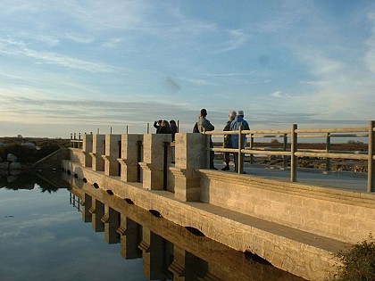 Hydraulic structures