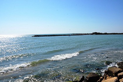 The Petit-Rhône estuary