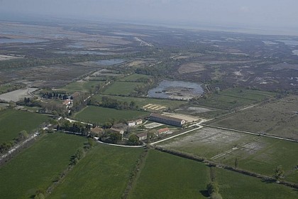 L'étang de Consécanière