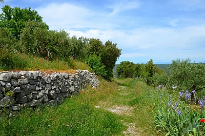 The Baou path