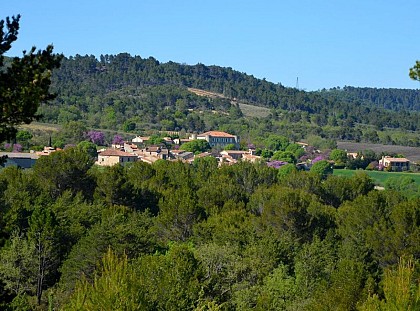 Saint-Laurent-du-Verdon