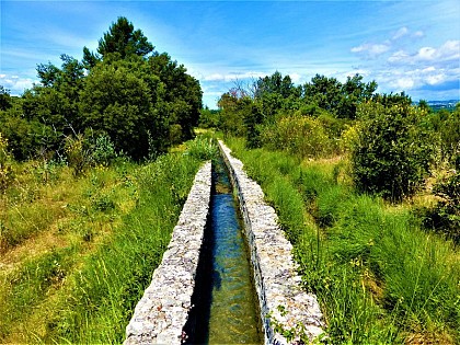 Gaudre of the Mas Neuf