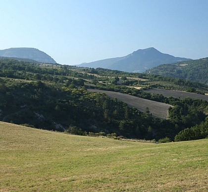 Le plateau Saint-Laurent, lieu de pâture