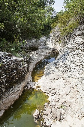 The Largue river by Jean Giono