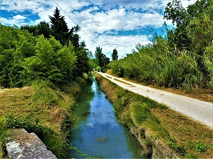 Northern Alpines Canal
