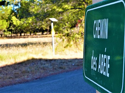 Chemin des Abéie