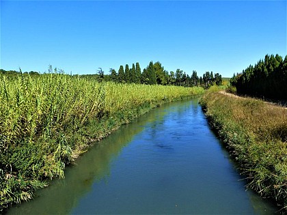 L'Anguillon